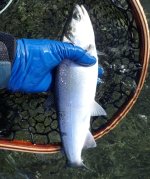 IMG_5828.jpeg