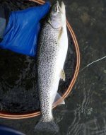 IMG_5826.jpeg