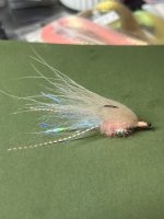 IMG_7793.jpeg