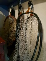 IMG_2879.jpeg IMG_2879.jpeg