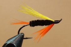 Yellow Killer - 1080.JPG