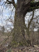 IMG_0444.jpeg