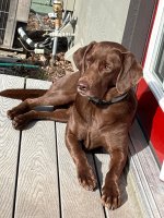 IMG_3884.jpeg
