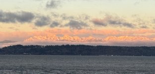 IMG_2522.jpeg