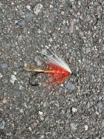 IMG_3810.jpeg