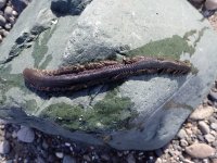 IMG_5841.jpeg