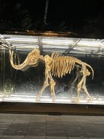 IMG_7798.jpeg