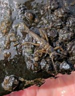 PXL_20260226_214948803~2.jpg PXL_20260226_214948803~2.jpg