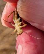 PXL_20260226_215048486.jpg PXL_20260226_215048486.jpg