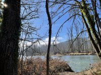 IMG_5646.jpeg