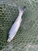 IMG_7477.jpeg