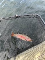 IMG_5668.jpeg