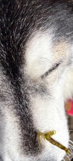 IMG_8893.jpeg