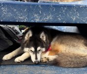 IMG_8928.jpeg