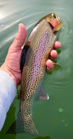 IMG_8894.jpeg