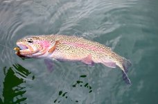 IMG_8901.jpeg