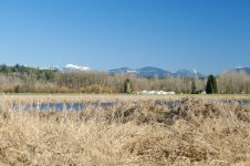 DSCF0314.JPG
