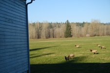 DSCF0338.JPG