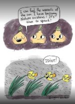 IMG_0784.jpeg