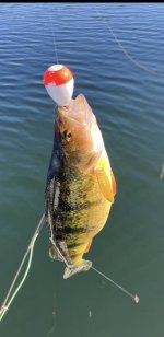 IMG_1839.jpeg