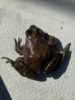 IMG_8638.jpeg