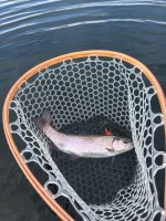 IMG_8623.jpeg