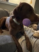 IMG_3904.jpeg