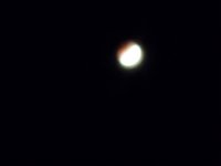 20260303_024501.jpg