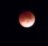20260303_030756.jpg