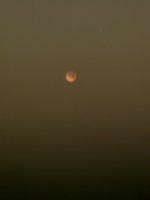 IMG_2584.jpeg