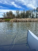 IMG_4719.jpeg