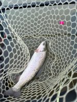 IMG_4722.jpeg