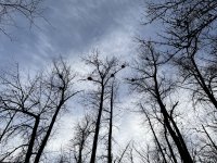 IMG_5652.jpeg