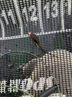 IMG_5538.jpeg IMG_5538.jpeg