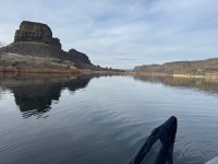 IMG_2917.jpeg