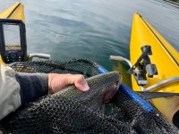 IMG_0602.jpeg