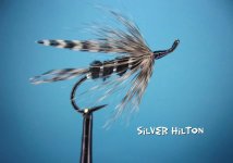 Silver Hilton.jpg Silver Hilton.jpg