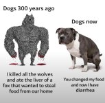IMG_6645.jpeg