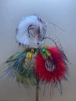 IMG_2406.jpeg