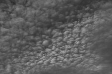 077-Clouds-030626.jpg