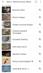 Screenshot_20260307_120405_Merlin Bird ID.jpg