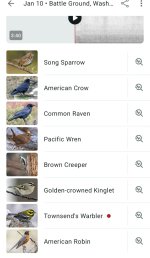 Screenshot_20260307_120511_Merlin Bird ID.jpg