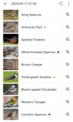 Screenshot_20260307_120959_Merlin Bird ID.jpg