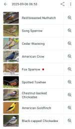Screenshot_20260307_120859_Merlin Bird ID.jpg