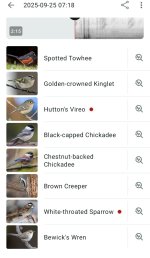 Screenshot_20260307_120709_Merlin Bird ID.jpg