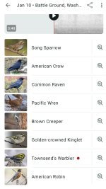 Screenshot_20260307_120517_Merlin Bird ID.jpg