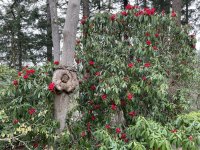 IMG_5654.jpeg