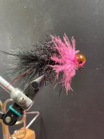 IMG_3978.jpeg