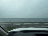 IMG_5988.jpeg IMG_5988.jpeg