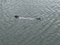 IMG_5989.jpeg